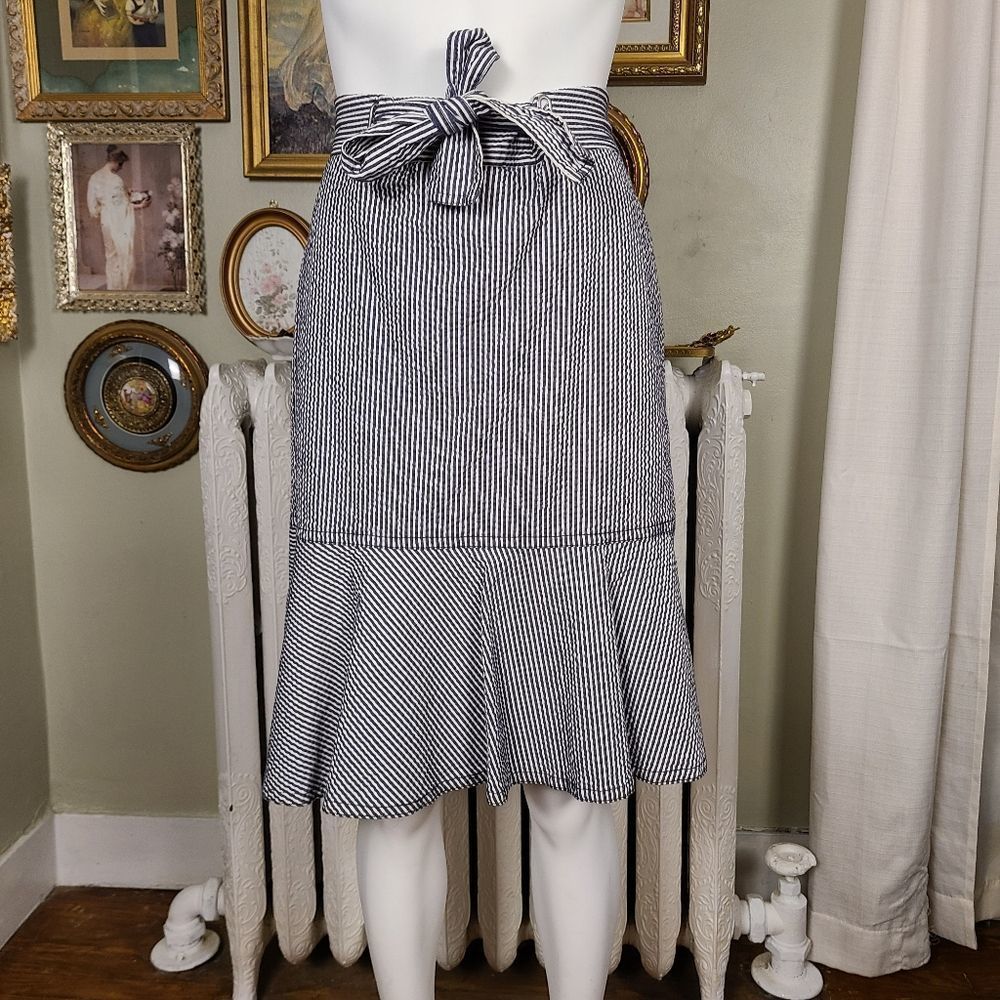 Host Pick Ann Taylor Petite Skirt